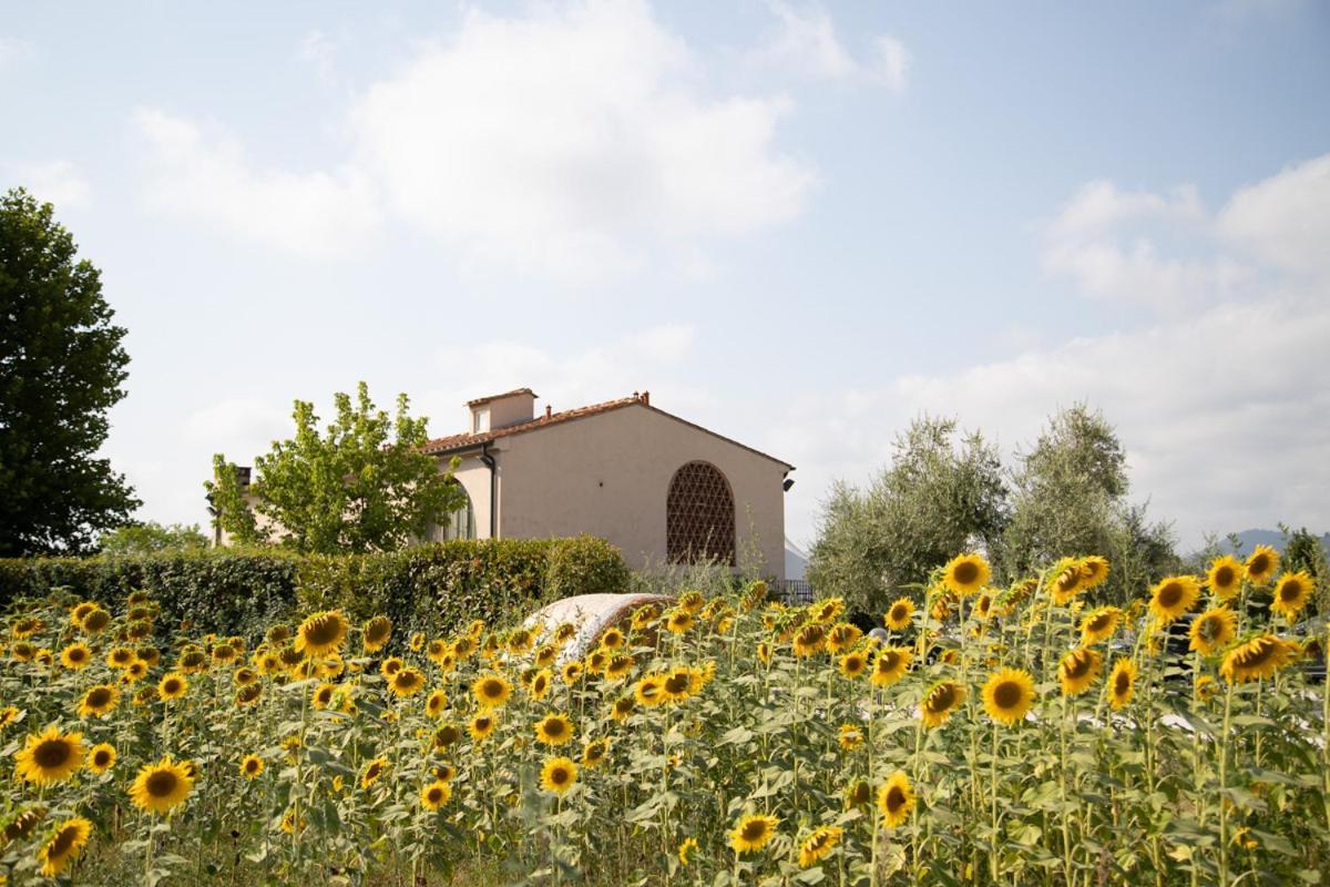 Locanda Sant'Agata Hostal San Giuliano Terme Exterior foto